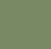 Palm Leaf