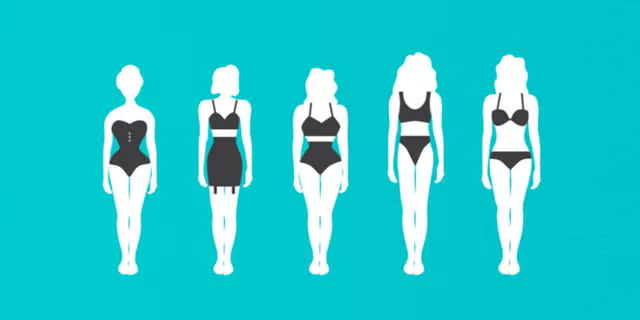 Body types visual